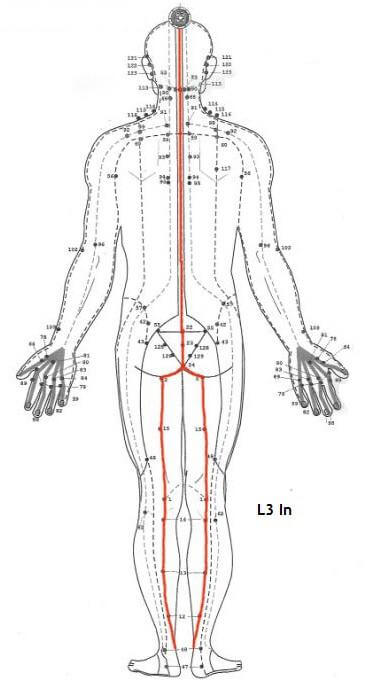Lineas Energeticas Sen Sumana back
