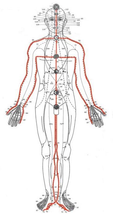 Lineas Energeticas Sen Sumana front