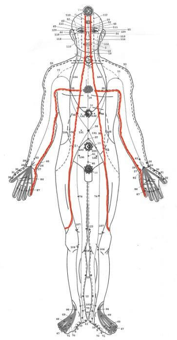 Lineas Energeticas Sen ithapingala front