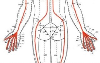 Lineas Energeticas Sen kalatharee back