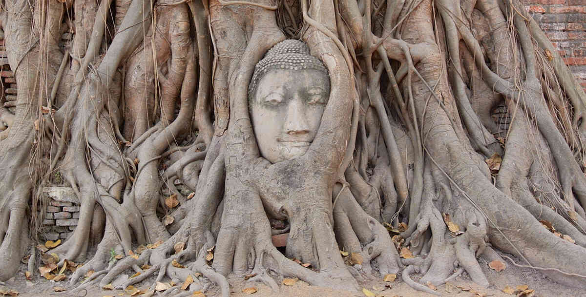 Historia del Masaje Tailandés